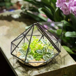 Handmade Diamond Black Glass Geometric Terrarium With Door For Succulents Moss Airplants -Terrarium Plant Hub product image 389524677