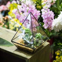 Handmade Modern Glass Geometric Terrarium Polyhedrons For Succulent Cacti Moss -Terrarium Plant Hub product image 392970872