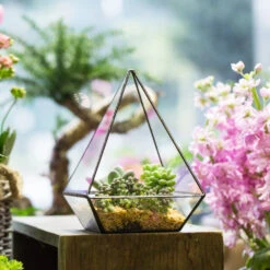 Handmade Modern Glass Geometric Terrarium Polyhedrons For Succulent Cacti Moss -Terrarium Plant Hub product image 392970873