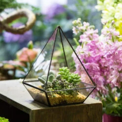 Handmade Modern Glass Geometric Terrarium Polyhedrons For Succulent Cacti Moss -Terrarium Plant Hub product image 392970883