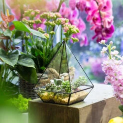 Handmade Modern Glass Geometric Terrarium Polyhedrons For Succulent Cacti Moss -Terrarium Plant Hub product image 392970886