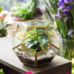 Handmade Copper Pentagon Glass Geometric Terrarium With Feet And Door For Succulent Moss Air Plant -Terrarium Plant Hub product image 443095110