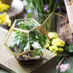 Handmade Copper Pentagon Glass Geometric Terrarium With Feet And Door For Succulent Moss Air Plant -Terrarium Plant Hub product image 443095115