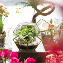 Handmade Copper Pentagon Glass Geometric Terrarium With Feet And Door For Succulent Moss Air Plant -Terrarium Plant Hub product image 443095118
