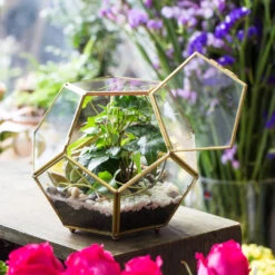 Handmade Copper Pentagon Glass Geometric Terrarium With Feet And Door For Succulent Moss Air Plant -Terrarium Plant Hub product image 443095148