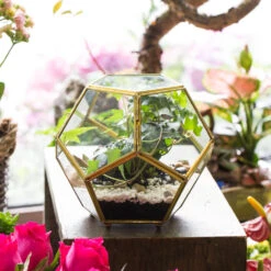 Handmade Copper Pentagon Glass Geometric Terrarium With Feet And Door For Succulent Moss Air Plant -Terrarium Plant Hub product image 443095152