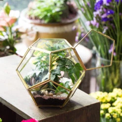 Handmade Copper Pentagon Glass Geometric Terrarium With Feet And Door For Succulent Moss Air Plant -Terrarium Plant Hub product image 443095158