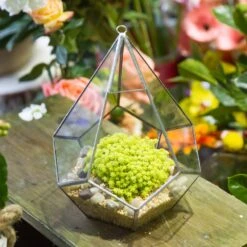 Handmade Silver Hanging Teardrop Shape Geometric Glass Terrarium For Succulent Moss Fern -Terrarium Plant Hub product image 449459845