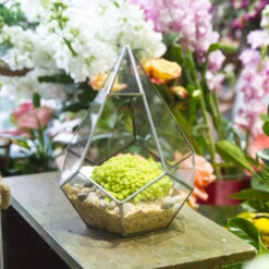 Handmade Silver Hanging Teardrop Shape Geometric Glass Terrarium For Succulent Moss Fern -Terrarium Plant Hub product image 449459855