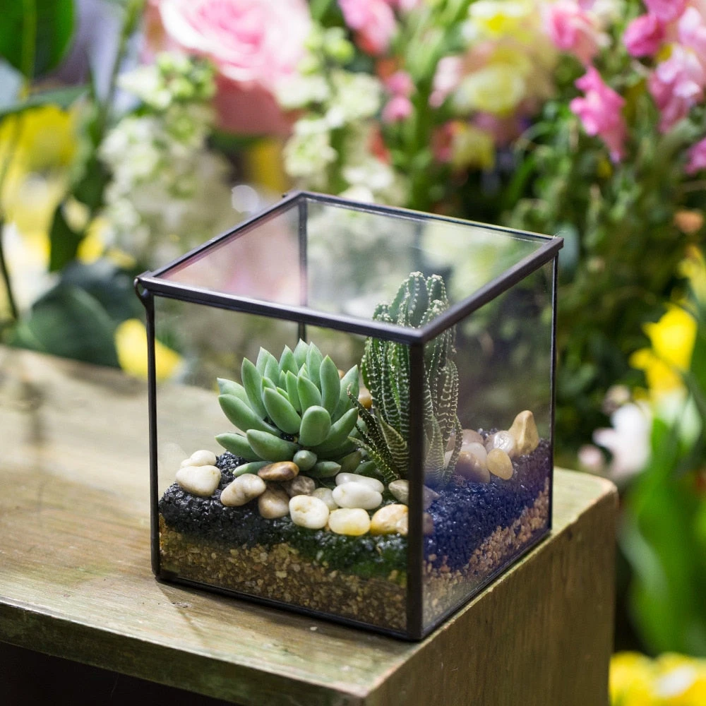 Handmade Square Glass Geometric Terrarium With Lid For Fern Moss Succulents Cacti 8 Handmade Square Glass Geometric Terrarium With Lid For Fern Moss Succulents Cacti - Image 6