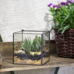 Handmade Square Glass Geometric Terrarium With Lid For Fern Moss Succulents Cacti 21 Handmade Square Glass Geometric Terrarium With Lid For Fern Moss Succulents Cacti -Terrarium Plant Hub product image 456312597