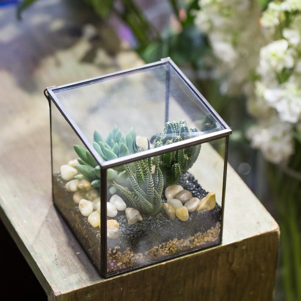 Handmade Square Glass Geometric Terrarium With Lid For Fern Moss Succulents Cacti 9 Handmade Square Glass Geometric Terrarium With Lid For Fern Moss Succulents Cacti - Image 7
