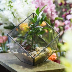Handmade Cube Black Glass Geometric Terrarium Container For Moss Fen Succulents -Terrarium Plant Hub product image 462966531