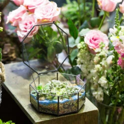 Handmade Flat Octagon Glass Geometric Terrarium For Succulents Fern Moss -Terrarium Plant Hub product image 462967458