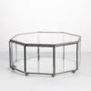 Handmade Flat Octagon Glass Geometric Terrarium For Succulents Fern Moss -Terrarium Plant Hub product image 462967463