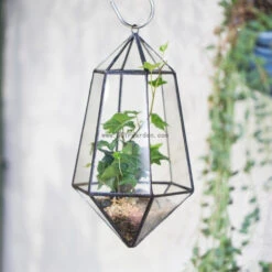 Handmade Hanging Artistic Clear Glass Six-surfaces Diamond Geometric Terrarium DIY For Succulent Pot 18 Handmade Hanging Artistic Clear Glass Six-surfaces Diamond Geometric Terrarium DIY For Succulent Pot -Terrarium Plant Hub product image 471640401