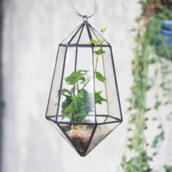 Handmade Hanging Artistic Clear Glass Six-surfaces Diamond Geometric Terrarium DIY For Succulent Pot 16 Handmade Hanging Artistic Clear Glass Six-surfaces Diamond Geometric Terrarium DIY For Succulent Pot -Terrarium Plant Hub product image 471640411