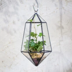 Handmade Hanging Artistic Clear Glass Six-surfaces Diamond Geometric Terrarium DIY For Succulent Pot 19 Handmade Hanging Artistic Clear Glass Six-surfaces Diamond Geometric Terrarium DIY For Succulent Pot -Terrarium Plant Hub product image 471640412