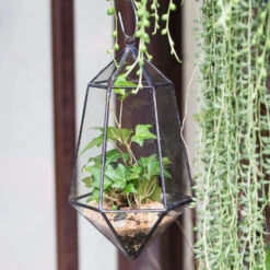 Handmade Hanging Artistic Clear Glass Six-surfaces Diamond Geometric Terrarium DIY For Succulent Pot 14 Handmade Hanging Artistic Clear Glass Six-surfaces Diamond Geometric Terrarium DIY For Succulent Pot -Terrarium Plant Hub product image 471640414