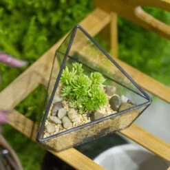 Handmade Geometric Flower Pot Small Glass Terrarium Pot For Container Balcony Garden Succulents 18 Handmade Geometric Flower Pot Small Glass Terrarium Pot For Container Balcony Garden Succulents -Terrarium Plant Hub product image 477457919