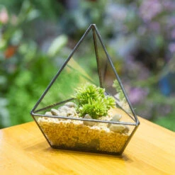 Handmade Geometric Flower Pot Small Glass Terrarium Pot For Container Balcony Garden Succulents 19 Handmade Geometric Flower Pot Small Glass Terrarium Pot For Container Balcony Garden Succulents -Terrarium Plant Hub product image 477457922
