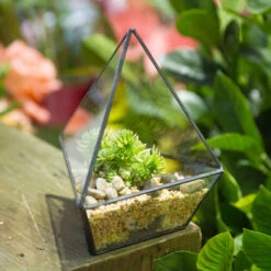 Handmade Geometric Flower Pot Small Glass Terrarium Pot For Container Balcony Garden Succulents 16 Handmade Geometric Flower Pot Small Glass Terrarium Pot For Container Balcony Garden Succulents -Terrarium Plant Hub product image 477457923
