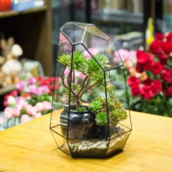 Handmade 41cm / 16" Tall Irregular Open Glass Geometric Terrarium Box For Succulent Moss Airplants -Terrarium Plant Hub product image 477458558