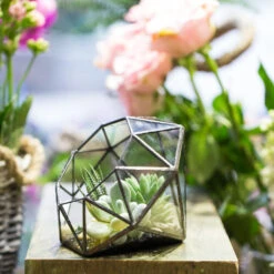 Handmade Diamond Open Glass Geometric Terrarium For Succulents Moss Fern Cacti -Terrarium Plant Hub product image 477562839