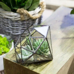 Handmade Diamond Open Glass Geometric Terrarium For Succulents Moss Fern Cacti -Terrarium Plant Hub product image 477562840