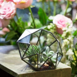Handmade Diamond Open Glass Geometric Terrarium For Succulents Moss Fern Cacti -Terrarium Plant Hub product image 477562841