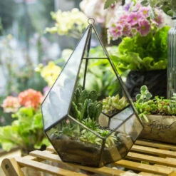 Handmade Black Hanging Teardrop Shape Glass Geometric Terrarium For Succulents Cacti -Terrarium Plant Hub product image 480627794