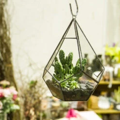 Handmade Black Hanging Teardrop Shape Glass Geometric Terrarium For Succulents Cacti -Terrarium Plant Hub product image 480627809