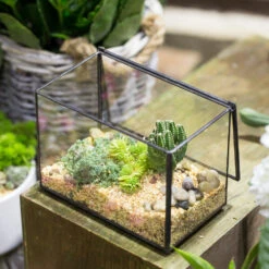 Handmade Rectangle Clear Glass Geometric Terrarium Box For Succulents Fern Moss Plant Flower 23 Handmade Rectangle Clear Glass Geometric Terrarium Box For Succulents Fern Moss Plant Flower -Terrarium Plant Hub product image 480627941