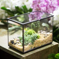 Handmade Rectangle Clear Glass Geometric Terrarium Box For Succulents Fern Moss Plant Flower 19 Handmade Rectangle Clear Glass Geometric Terrarium Box For Succulents Fern Moss Plant Flower -Terrarium Plant Hub product image 480627942