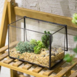 Handmade Rectangle Clear Glass Geometric Terrarium Box For Succulents Fern Moss Plant Flower 15 Handmade Rectangle Clear Glass Geometric Terrarium Box For Succulents Fern Moss Plant Flower -Terrarium Plant Hub product image 480627943