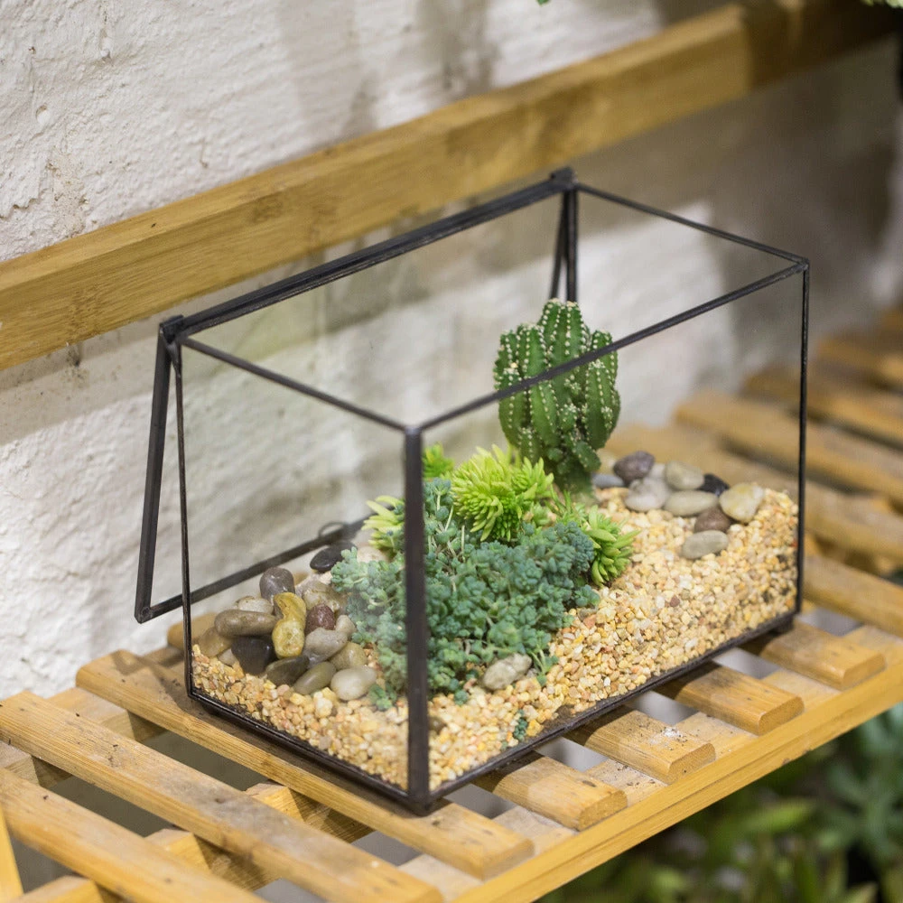 Handmade Rectangle Clear Glass Geometric Terrarium Box For Succulents Fern Moss Plant Flower 12 Handmade Rectangle Clear Glass Geometric Terrarium Box For Succulents Fern Moss Plant Flower - Image 10