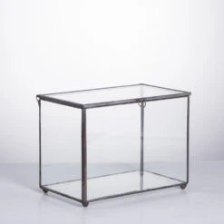 Handmade Rectangle Clear Glass Geometric Terrarium Box For Succulents Fern Moss Plant Flower 21 Handmade Rectangle Clear Glass Geometric Terrarium Box For Succulents Fern Moss Plant Flower -Terrarium Plant Hub product image 480627945