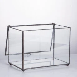 Handmade Rectangle Clear Glass Geometric Terrarium Box For Succulents Fern Moss Plant Flower 20 Handmade Rectangle Clear Glass Geometric Terrarium Box For Succulents Fern Moss Plant Flower -Terrarium Plant Hub product image 480627947