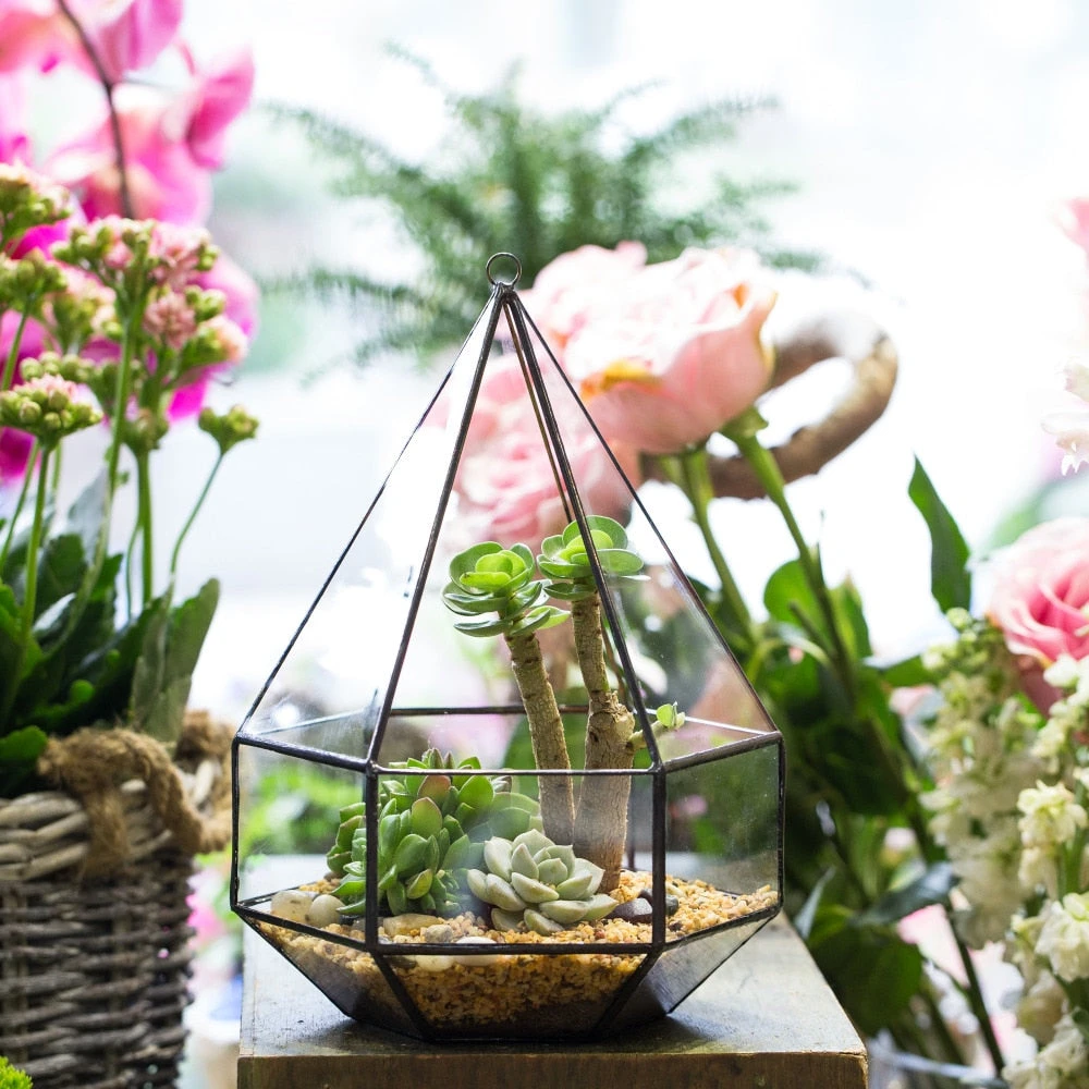 Handmade Hanging Six-surface Diamond Glass Geometric Terrarium With 3 Spaced Opening For Succulents 6 Handmade Hanging Six-surface Diamond Glass Geometric Terrarium With 3 Spaced Opening For Succulents - Image 4