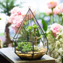 Handmade Hanging Six-surface Diamond Glass Geometric Terrarium With 3 Spaced Opening For Succulents 17 Handmade Hanging Six-surface Diamond Glass Geometric Terrarium With 3 Spaced Opening For Succulents -Terrarium Plant Hub product image 482680865