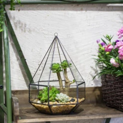 Handmade Hanging Six-surface Diamond Glass Geometric Terrarium With 3 Spaced Opening For Succulents 19 Handmade Hanging Six-surface Diamond Glass Geometric Terrarium With 3 Spaced Opening For Succulents -Terrarium Plant Hub product image 482680884