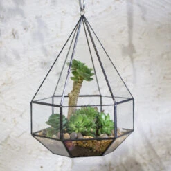 Handmade Hanging Six-surface Diamond Glass Geometric Terrarium With 3 Spaced Opening For Succulents 22 Handmade Hanging Six-surface Diamond Glass Geometric Terrarium With 3 Spaced Opening For Succulents -Terrarium Plant Hub product image 482680885