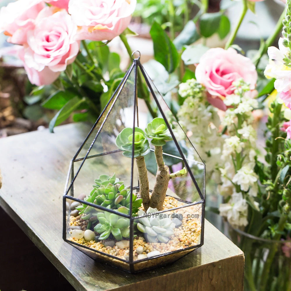 Handmade Hanging Six-surface Diamond Glass Geometric Terrarium With 3 Spaced Opening For Succulents 11 Handmade Hanging Six-surface Diamond Glass Geometric Terrarium With 3 Spaced Opening For Succulents - Image 9