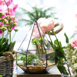 Handmade Hanging Six-surface Diamond Glass Geometric Terrarium With 3 Spaced Opening For Succulents 18 Handmade Hanging Six-surface Diamond Glass Geometric Terrarium With 3 Spaced Opening For Succulents -Terrarium Plant Hub product image 482680889