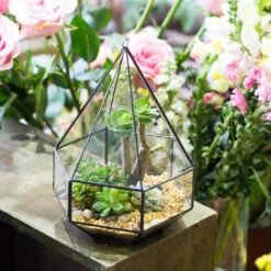 Handmade Hanging Six-surface Diamond Glass Geometric Terrarium With 3 Spaced Opening For Succulents 14 Handmade Hanging Six-surface Diamond Glass Geometric Terrarium With 3 Spaced Opening For Succulents -Terrarium Plant Hub product image 482680890