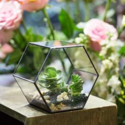 Handmade Thick Geometric Hexagon Glass Terrarium For Succulent Moss Airplants -Terrarium Plant Hub product image 496902026