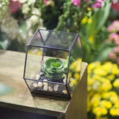 Handmade Thick Geometric Hexagon Glass Terrarium For Succulent Moss Airplants -Terrarium Plant Hub product image 496902027