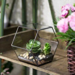 Handmade Thick Geometric Hexagon Glass Terrarium For Succulent Moss Airplants -Terrarium Plant Hub product image 496902038