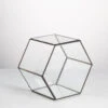 Handmade Thick Geometric Hexagon Glass Terrarium For Succulent Moss Airplants 1 Handmade Thick Geometric Hexagon Glass Terrarium For Succulent Moss Airplants -Terrarium Plant Hub product image 496902042
