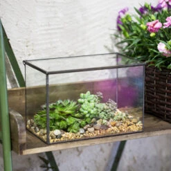 Handmade Rectangle Clear Glass Geometric Terrarium Box With Lid For Succulents Micro Landscape -Terrarium Plant Hub product image 497054581